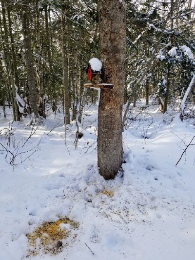 Jacques et Edna Trail