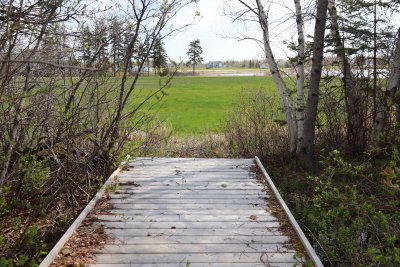 Musée Trail