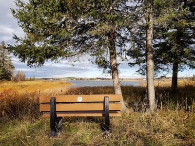 Alyre Bourque Trail