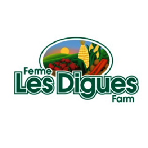 Les Digues market